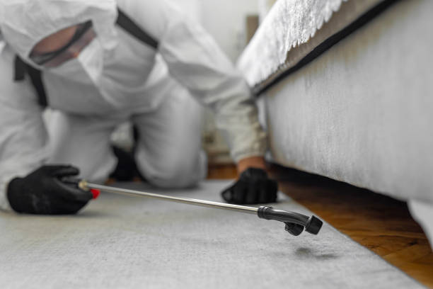 Professional Cockroach Control technician working in Highland, AR