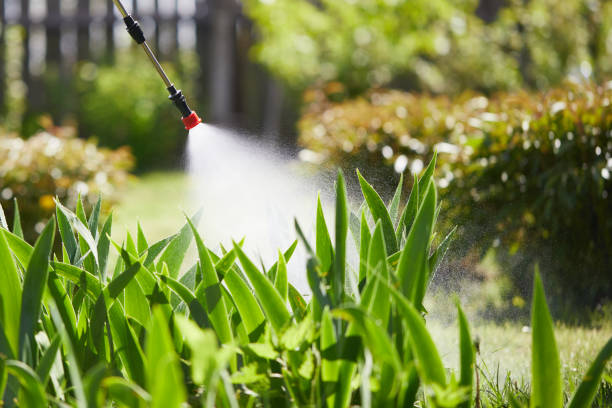 24/7 Emergency Cockroach Control experts in Highland, AR