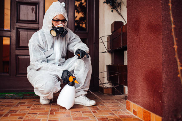 Reliable Cockroach Control contractor in Highland, AR by Nex Pest Control